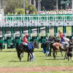 Gosford Barrier Trials