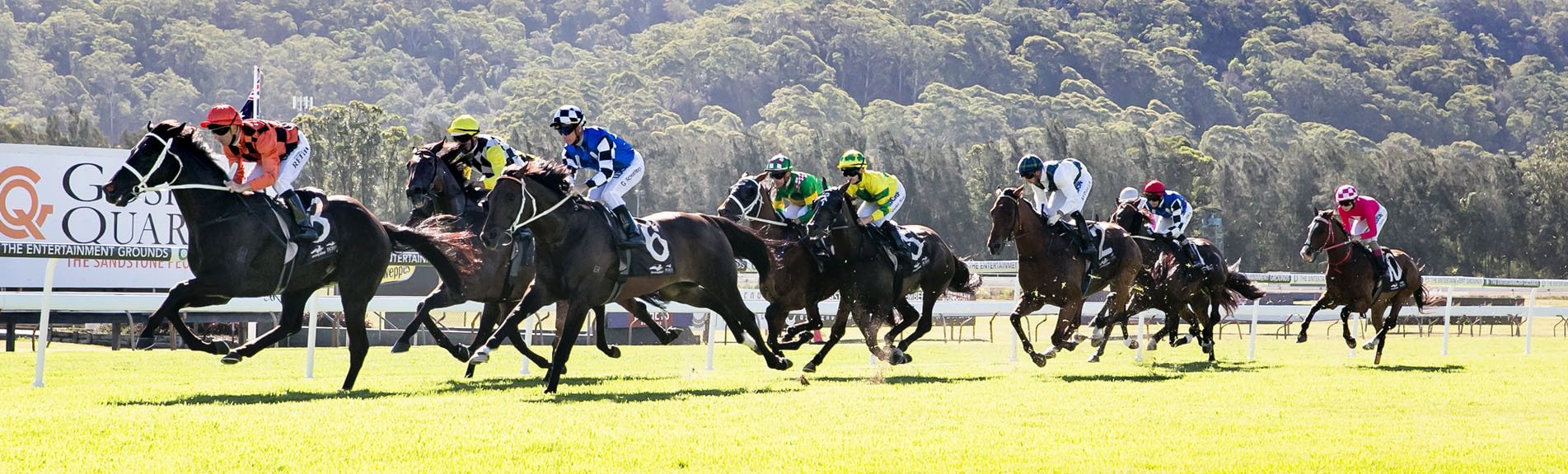 Gosford Trainers Premiership The Entertainment Grounds