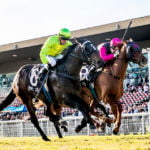 GOSFORD RACE DAY