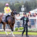 Terrigal Wamberal Rugby League Raceday