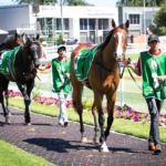 The Entrance Leagues Club Raceday