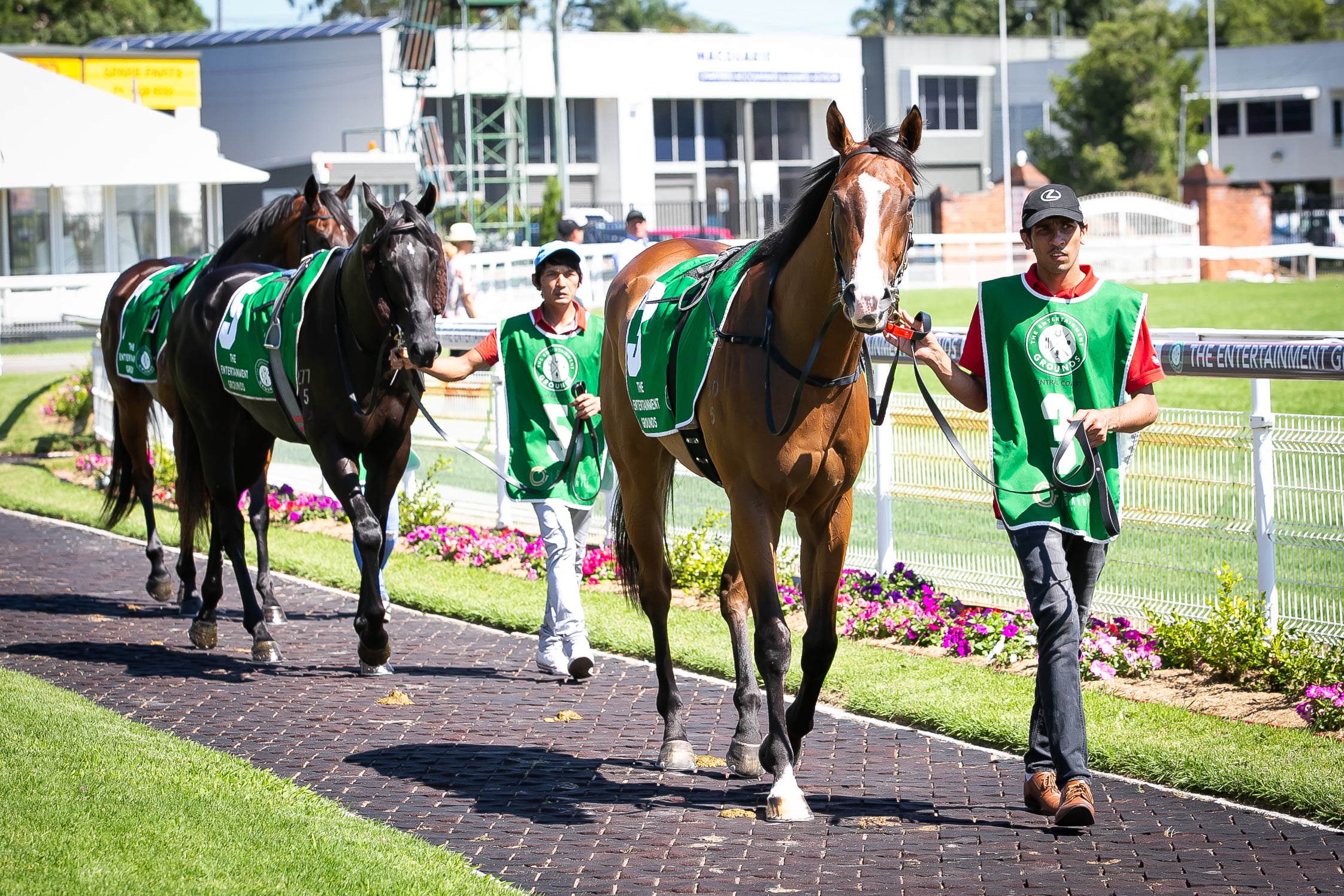 Gosford Raceday