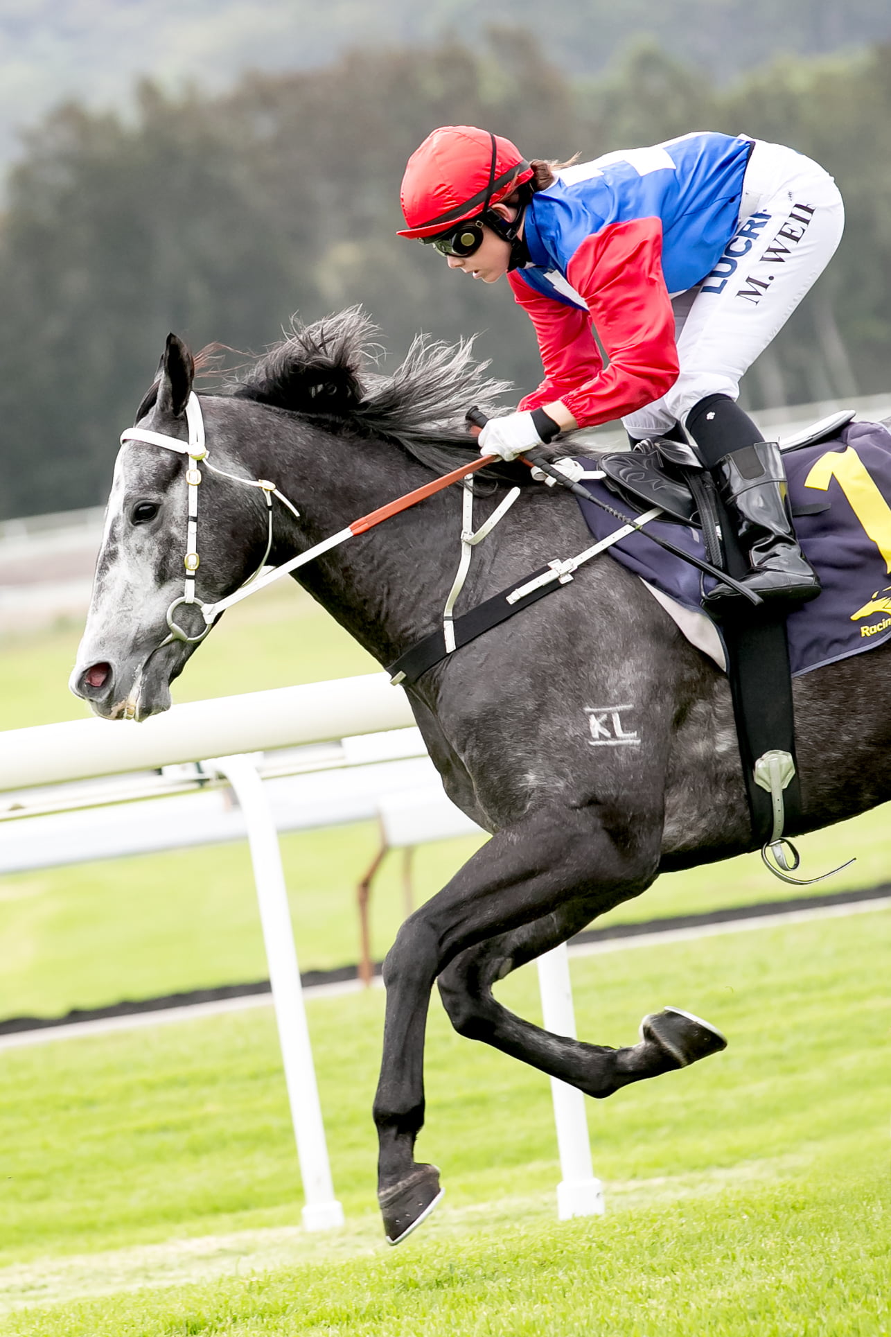 GOSFORD RACE DAY