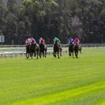 Gosford Barrier Trials