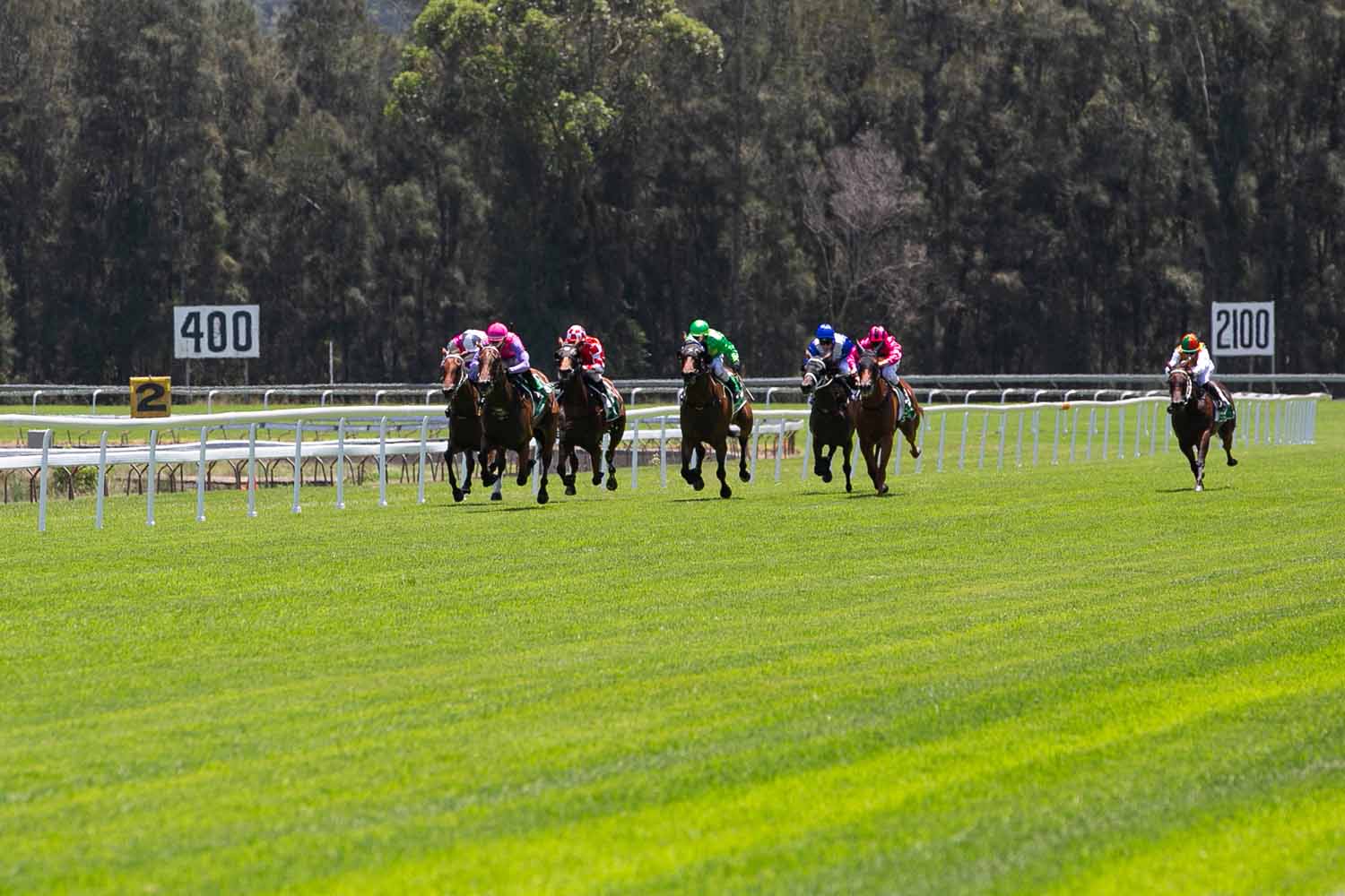 Gosford Barrier Trials