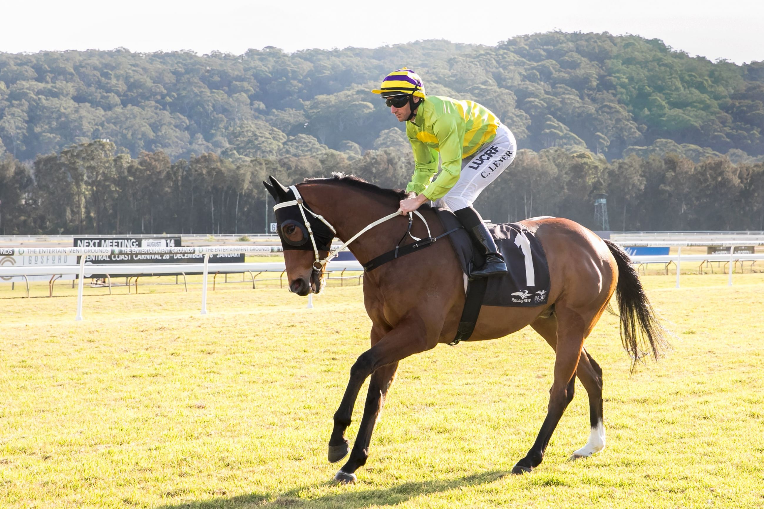 GOSFORD RACE DAY