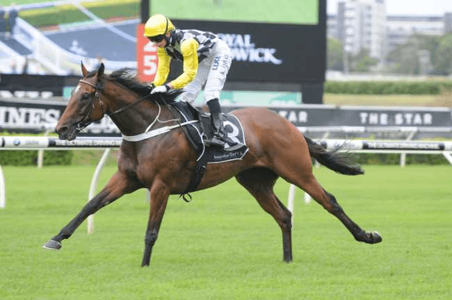 Gosford Barrier Trials