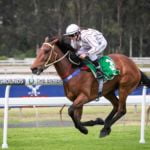 GOSFORD SATURDAY RACE DAY