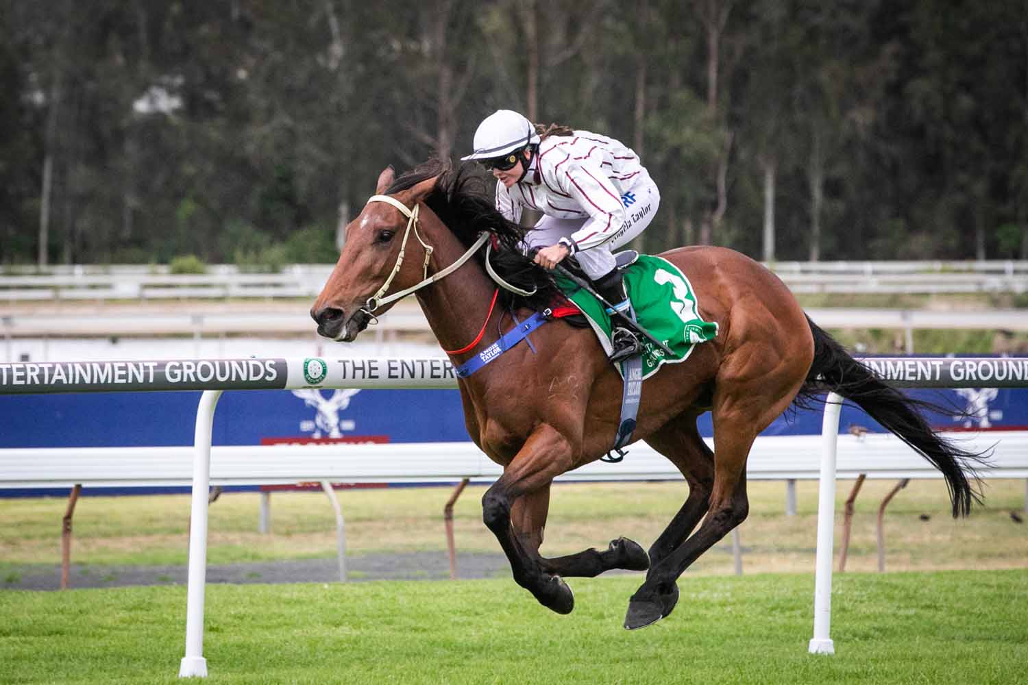 GOSFORD SATURDAY RACE DAY