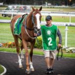 GOSFORD RACE DAY