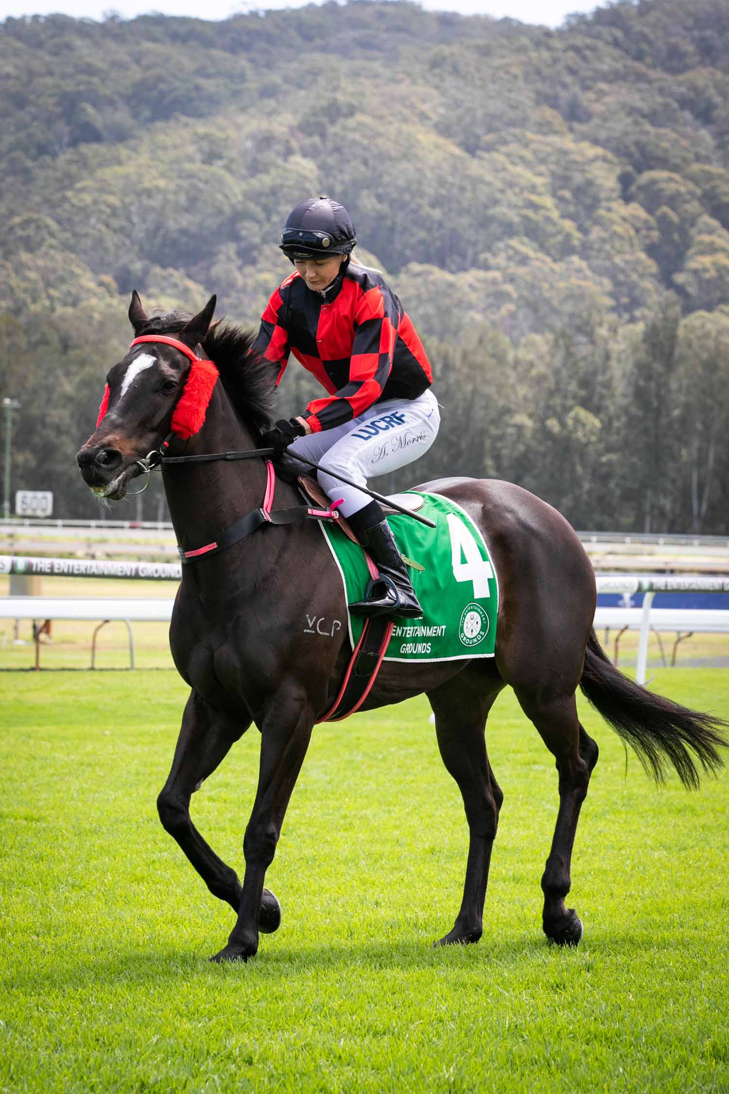 GOSFORD RACE DAY