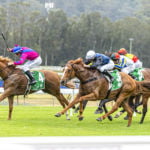 GOSFORD RACE DAY - POSTPONED!