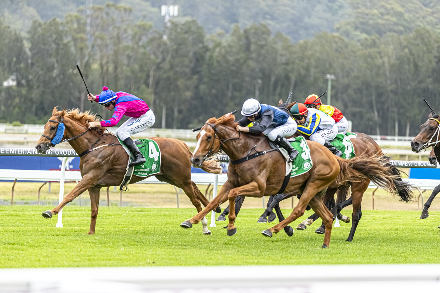 GOSFORD RACE DAY - POSTPONED!