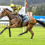 GOSFORD RACE DAY