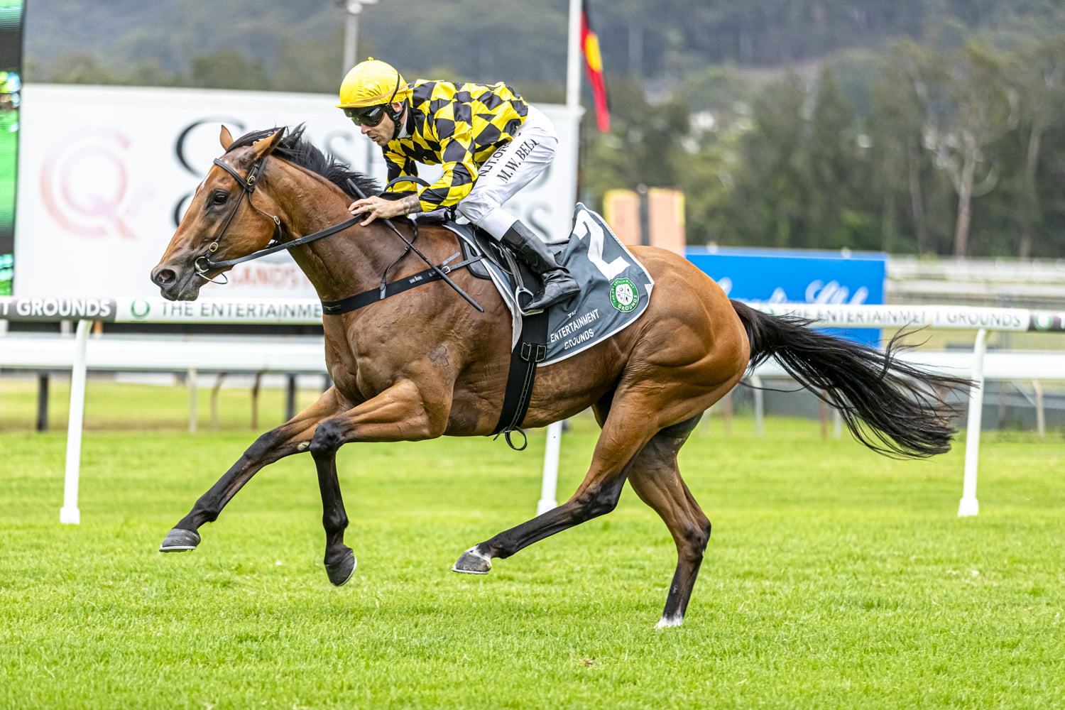 TERRIGAL WAMBERAL SHARKS RACE DAY