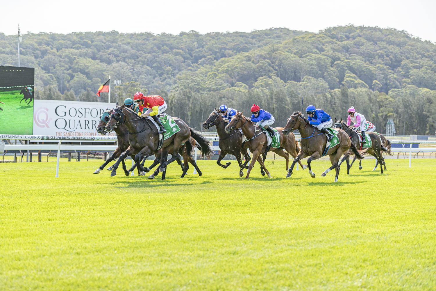 GOSFORD RACE DAY