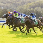 BELLE OF THE TURF RACE DAY