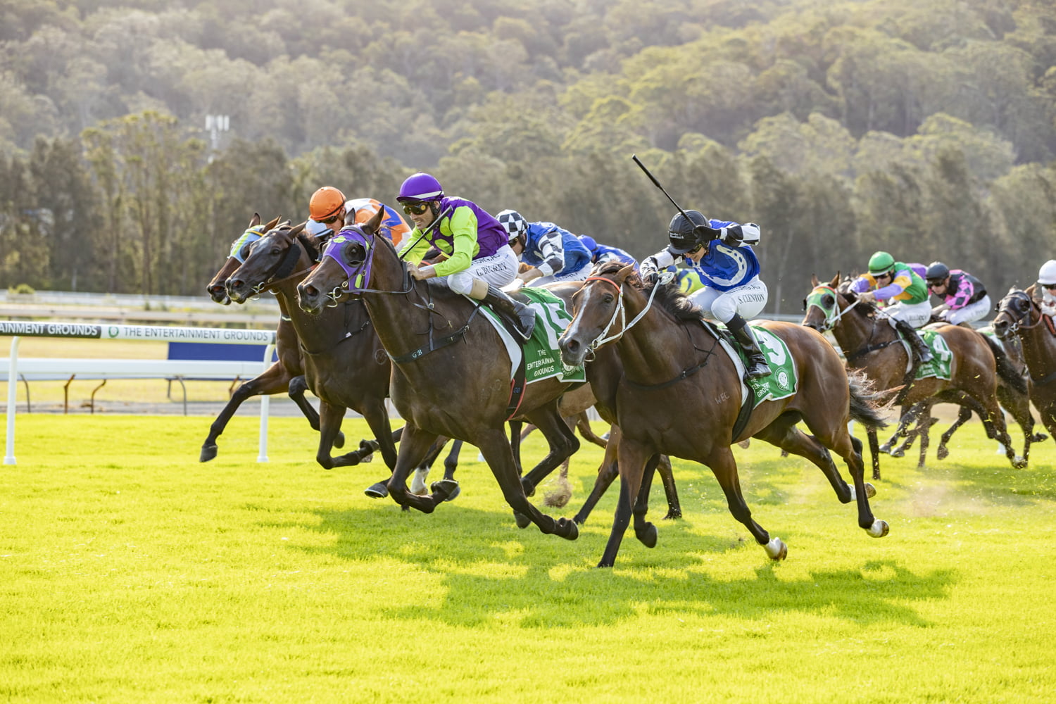 BELLE OF THE TURF RACE DAY