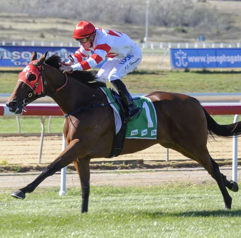 GOSFORD TWILIGHT RACE DAY