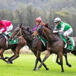 GOSFORD RACE DAY