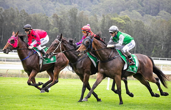 GOSFORD RACE DAY