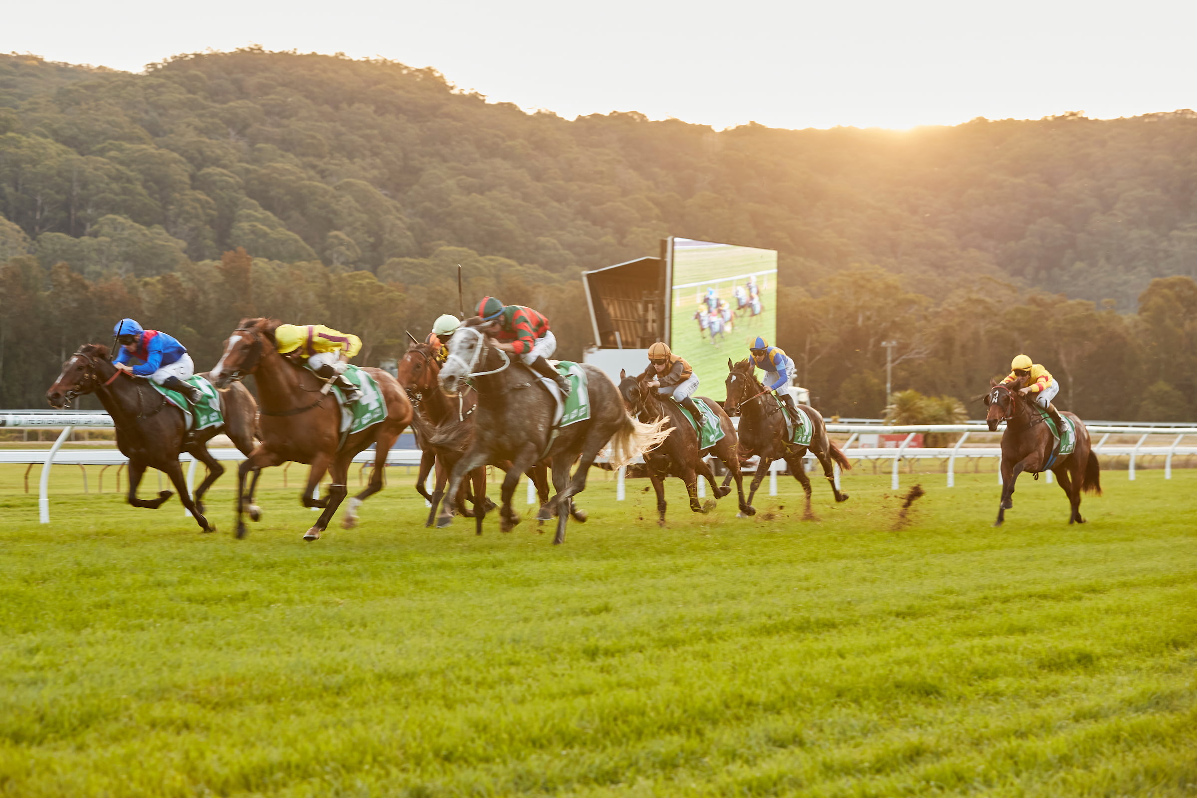 GOSFORD RACE DAY