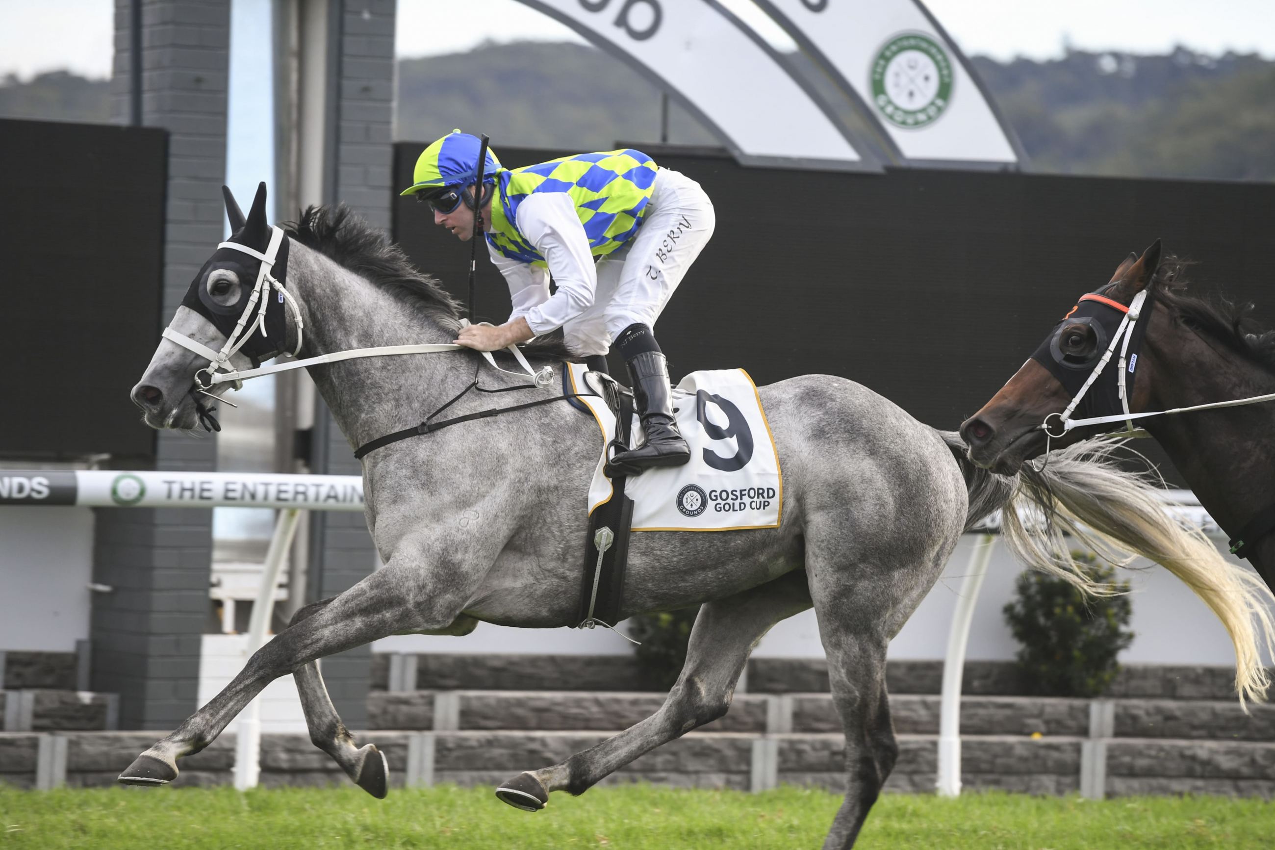 GOSFORD RACE DAY