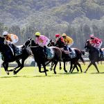 THE ENTRANCE LEAGUES CLUB RACE DAY