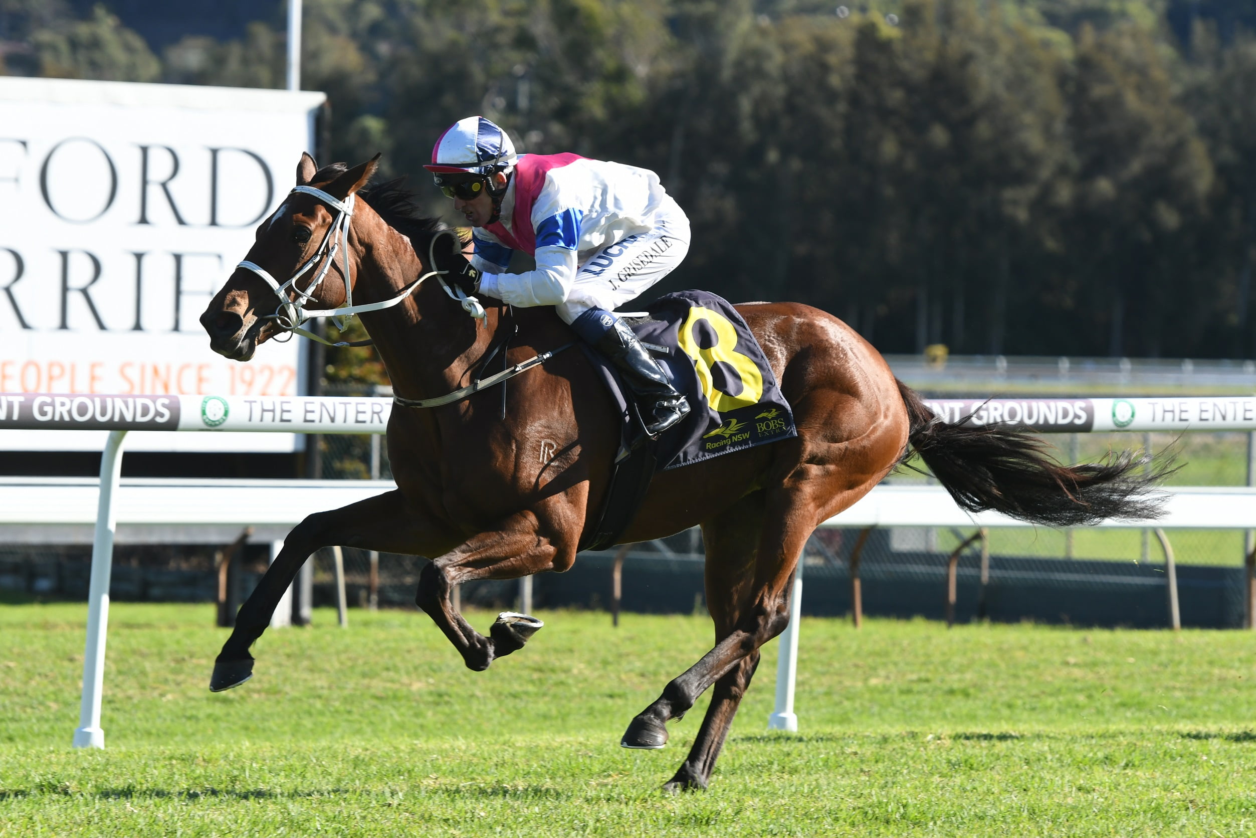 GOSFORD BARRIER TRIALS