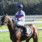 GOSFORD BARRIER TRIALS