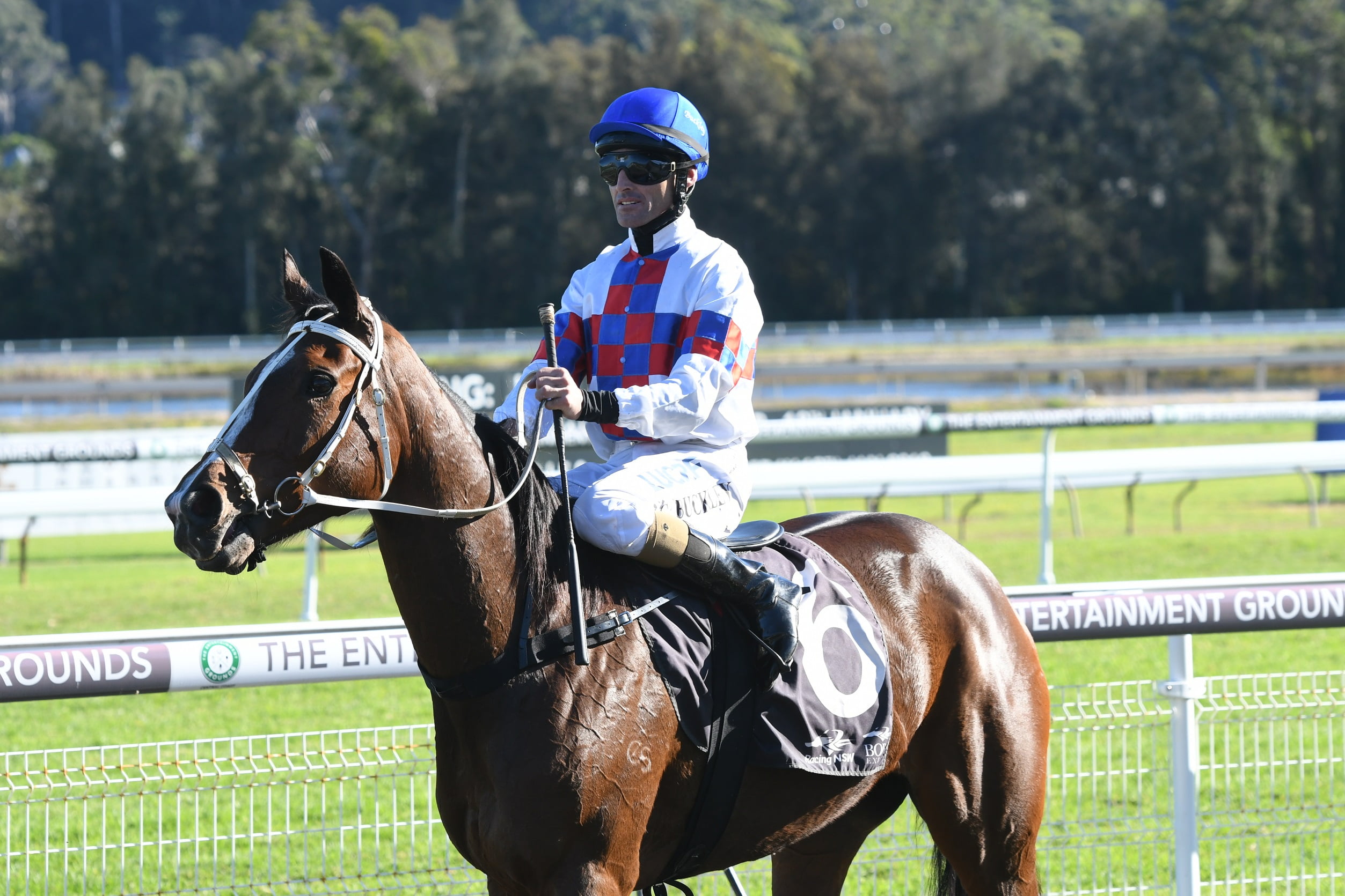 GOSFORD BARRIER TRIALS