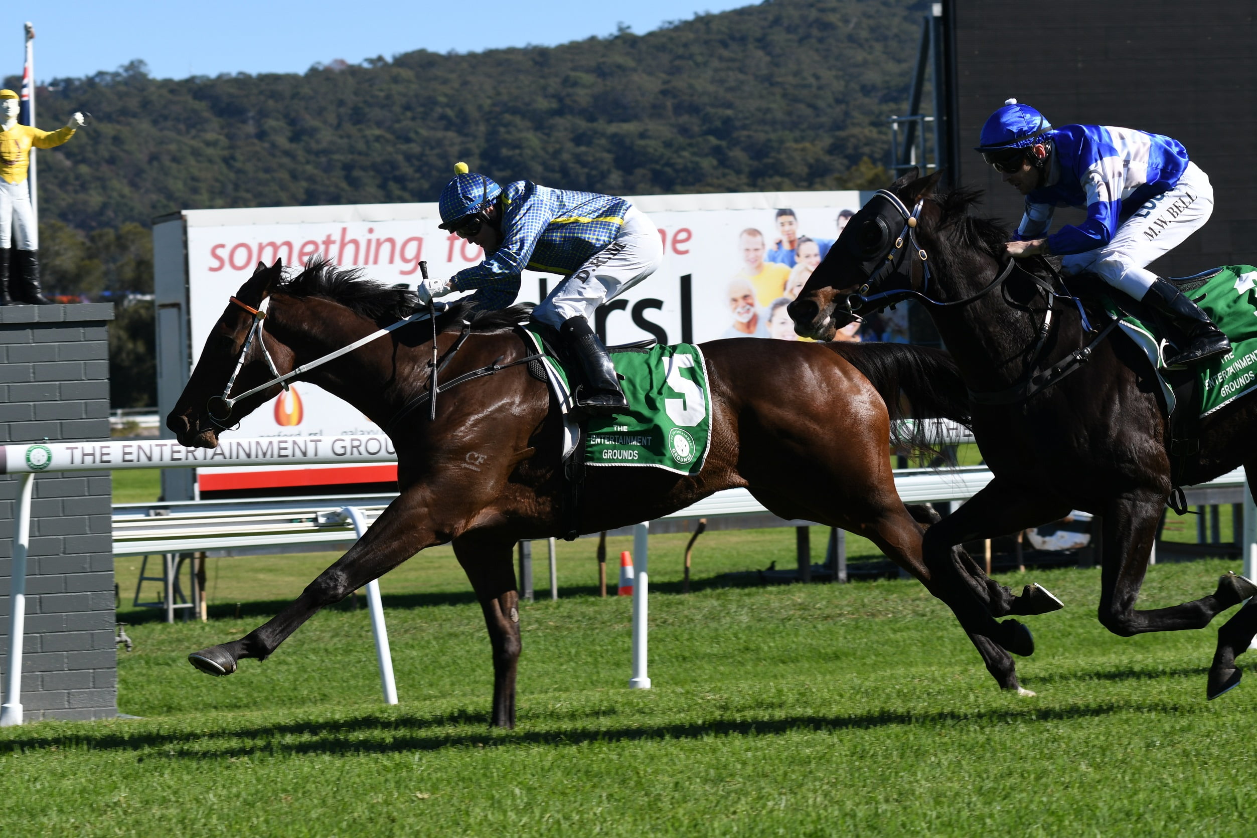 TERRIGAL WAMBERAL SHARKS RACE DAY