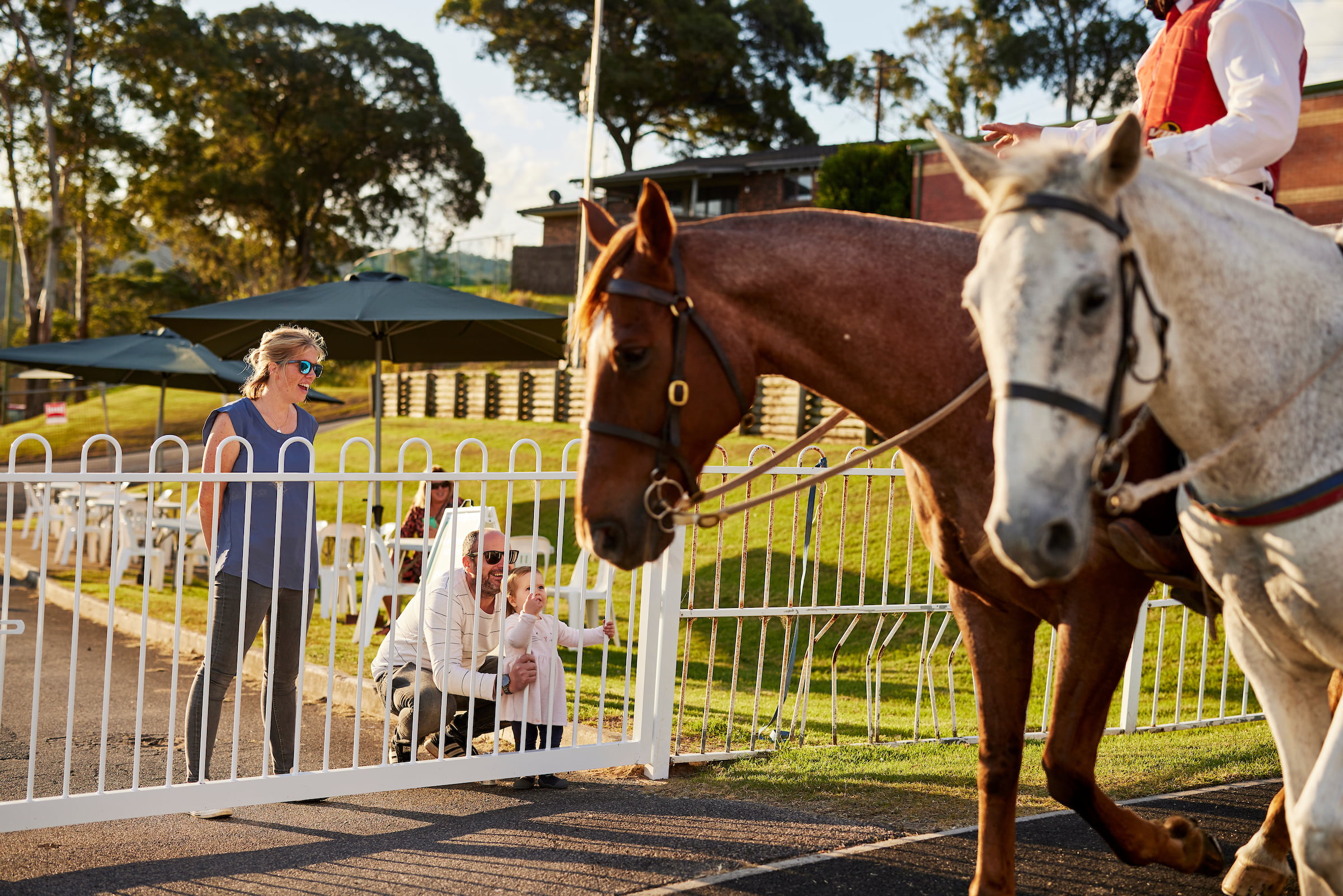 GOSFORD RACE DAY