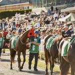 THE COAST SHELTER RACE DAY