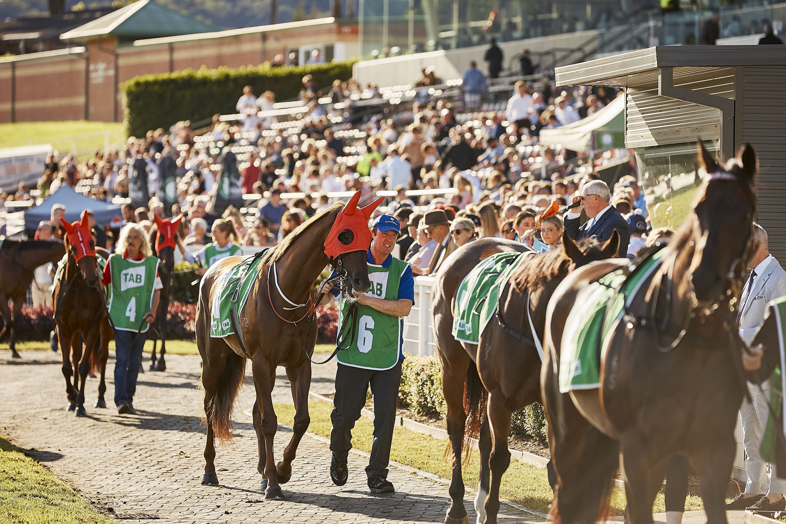 THE COAST SHELTER RACE DAY