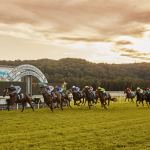 Twilight Race Day