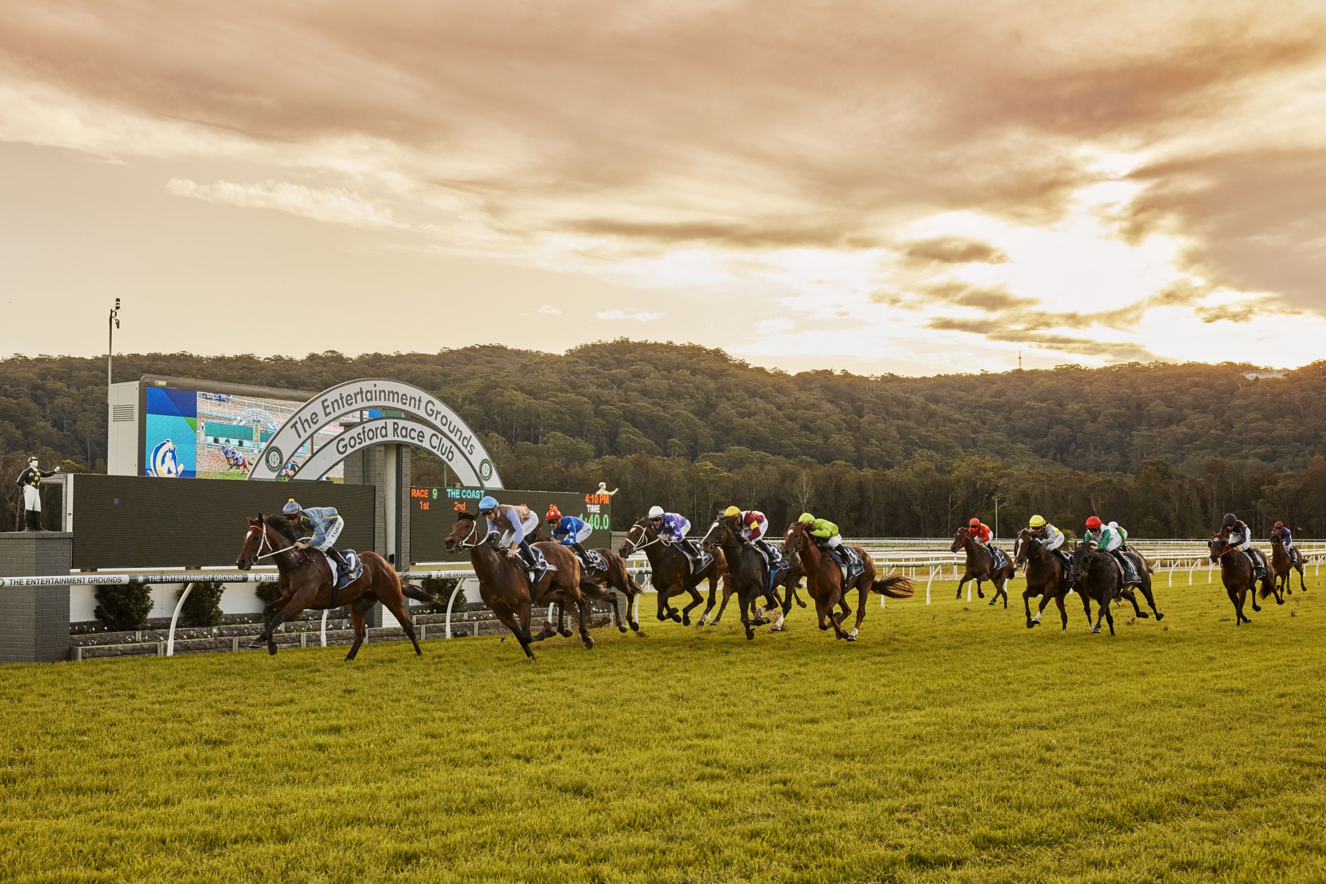 Twilight Race Day