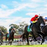 TERRIGAL-WAMBERAL SHARKS RLFC FEAT. PROVINCIAL CHAMPIONSHIPS QUALIFIER RACE DAY