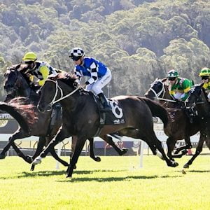 GOSFORD RACE DAY