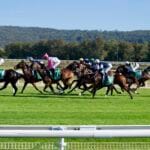 GOSFORD RACE DAY