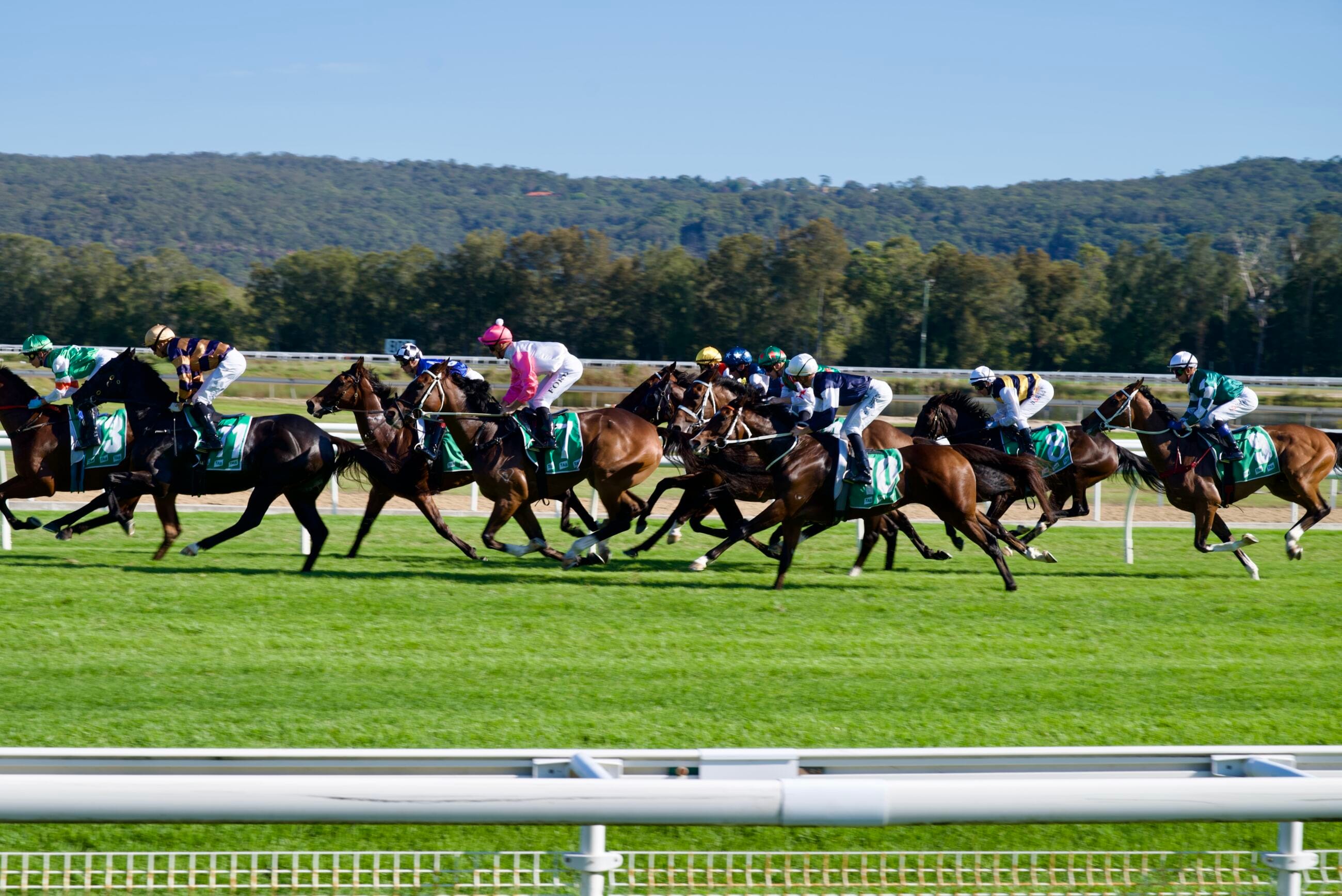 GOSFORD RACE DAY