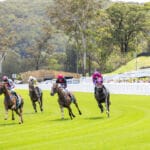 GOSFORD RACE DAY