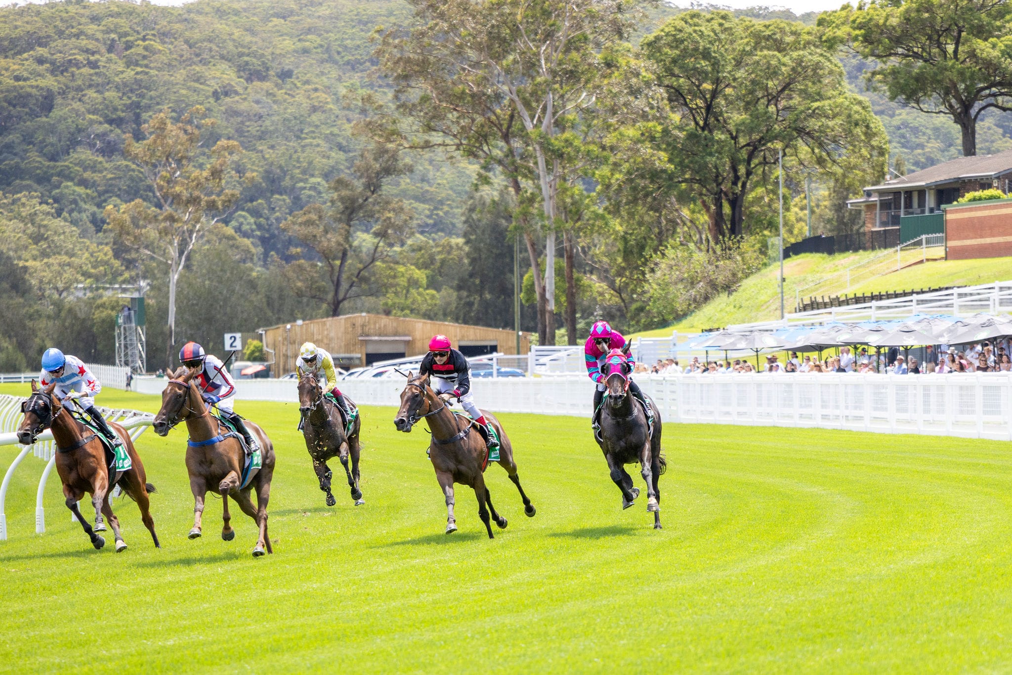 GOSFORD RACE DAY