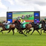 GOSFORD RACE DAY