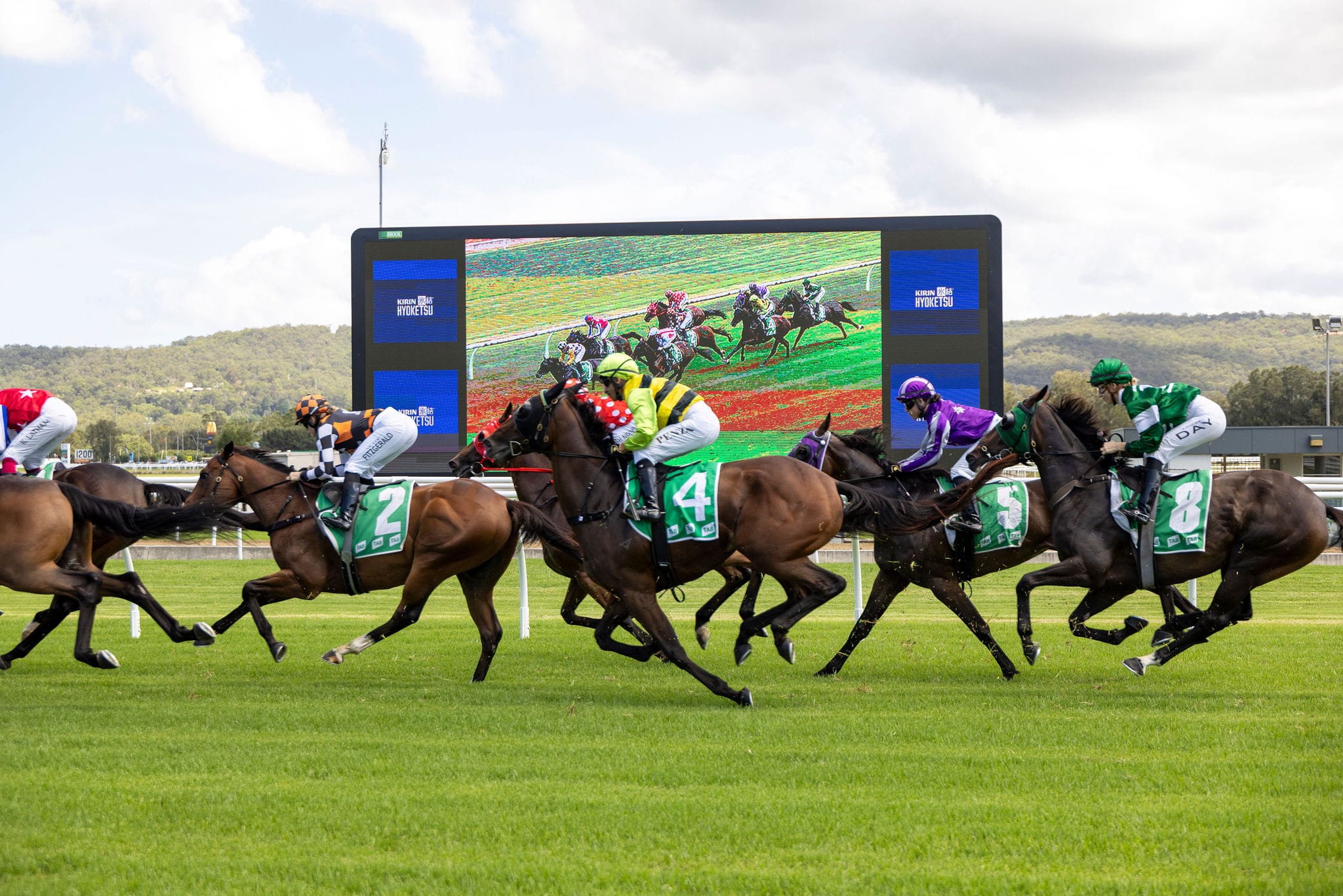 GOSFORD RACE DAY