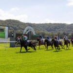 GOSFORD RACE DAY