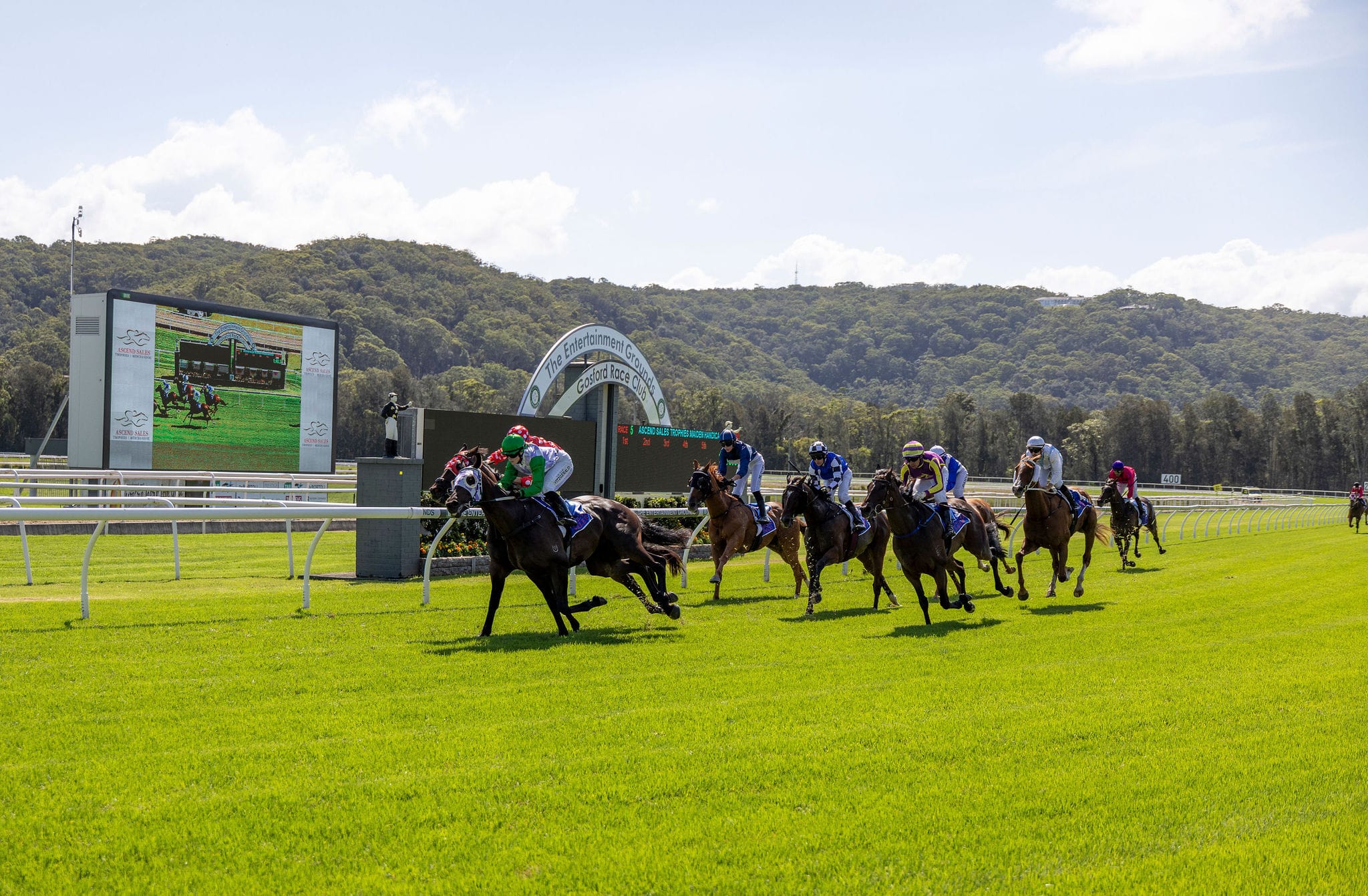 GOSFORD RACE DAY