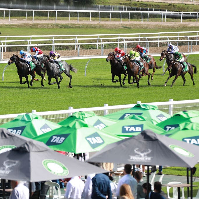 GOSFORD RACE DAY