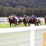 GOSFORD RACE DAY