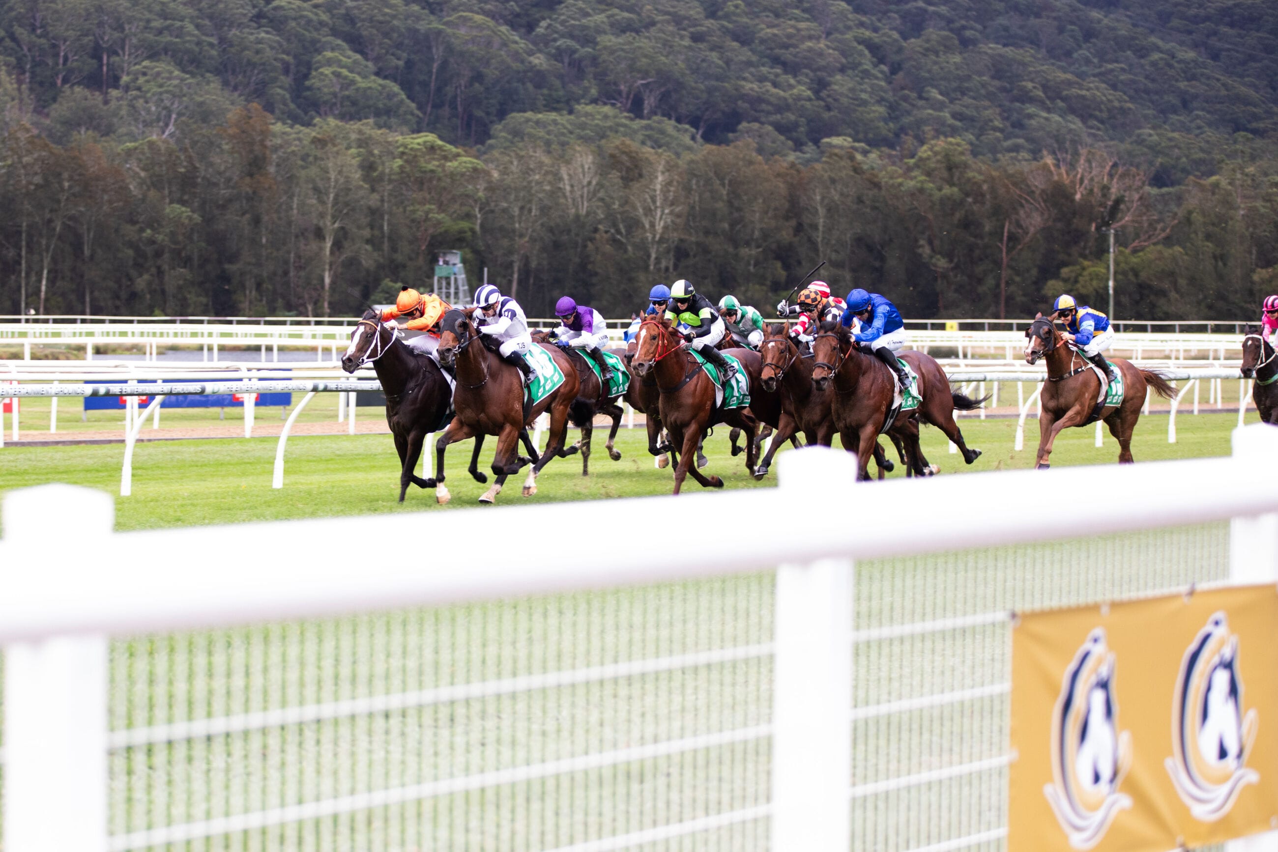 GOSFORD RACE DAY